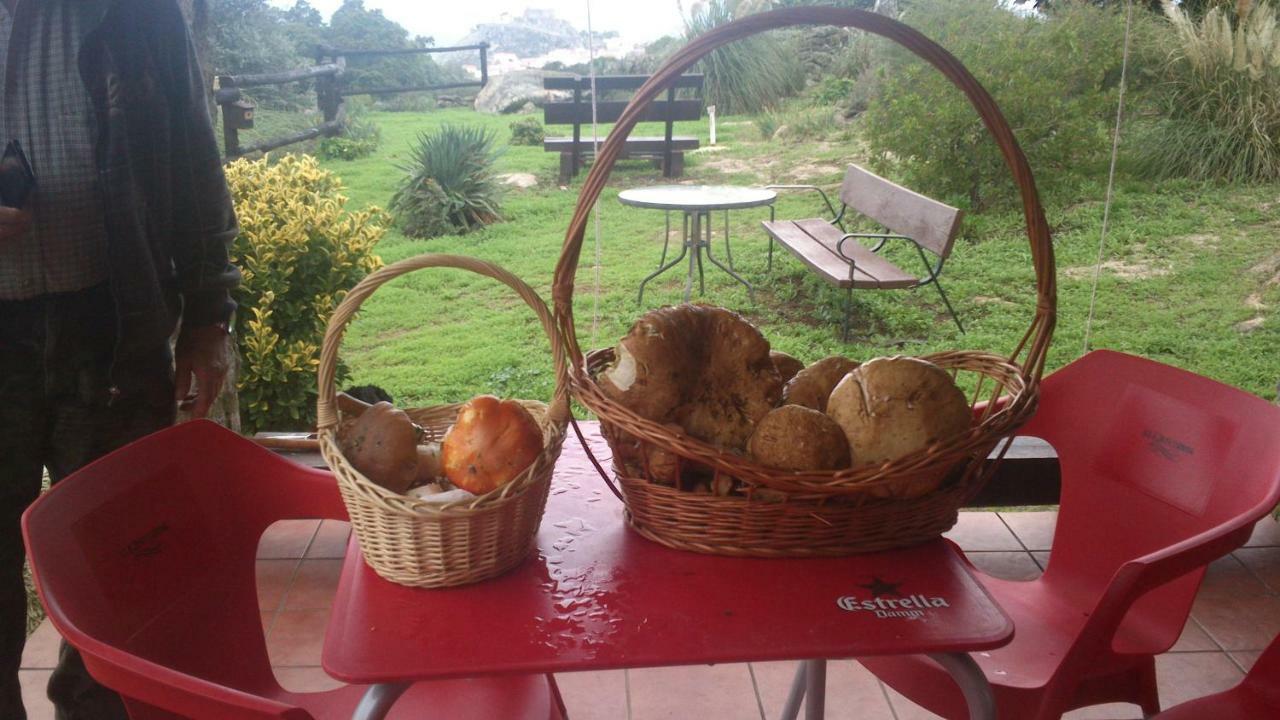 El Majano Guest House Montanchez Bagian luar foto